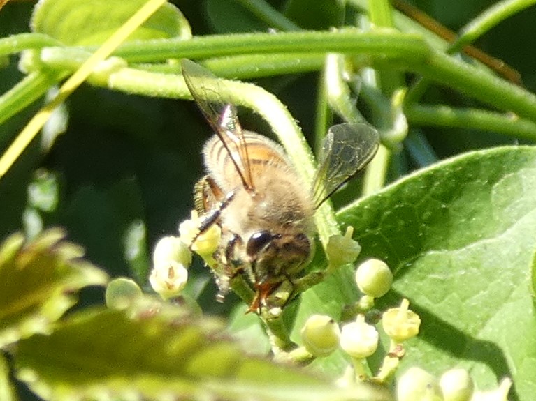 photo_1